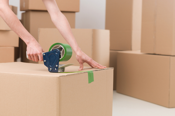 Sandilya Packers and Movers Packers